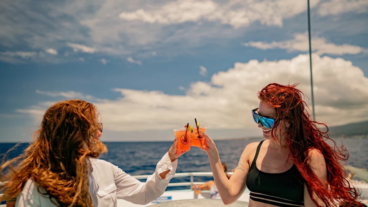 Kona Dolphin Watching Cruise with Snorkelling Experience - image 6