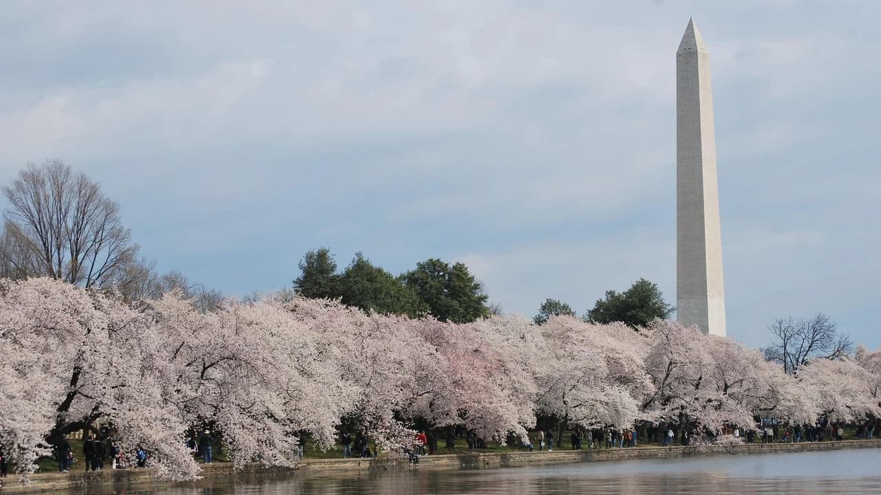 Washington Monument Ticket + Optional Guided Tour - image 6