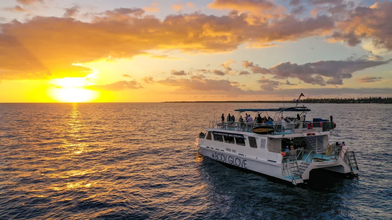Dinner Cruise from Kona Coast to Kealakekua Bay - Photo 1