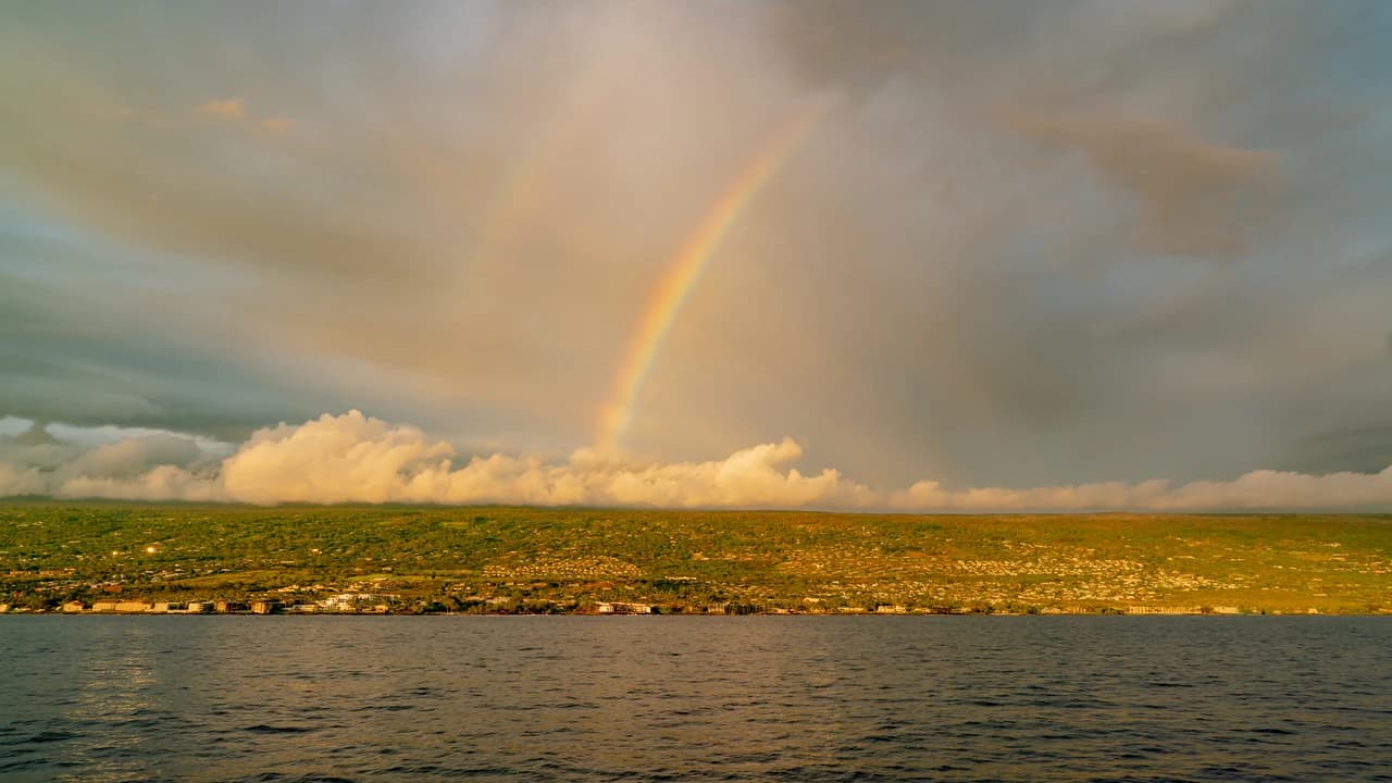 Dinner Cruise from Kona Coast to Kealakekua Bay - Photo 4