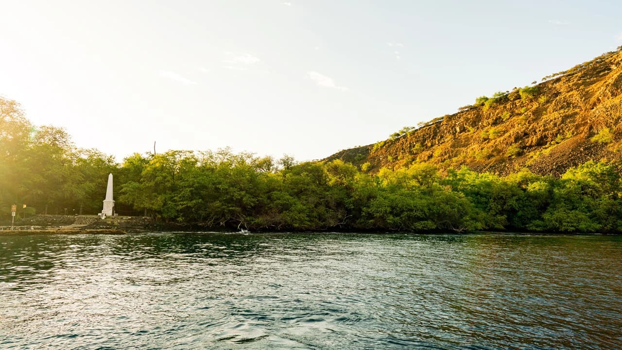 Dinner Cruise from Kona Coast to Kealakekua Bay - image 6