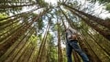 Muir Woods and Sausalito Tour from San Francisco - image 6