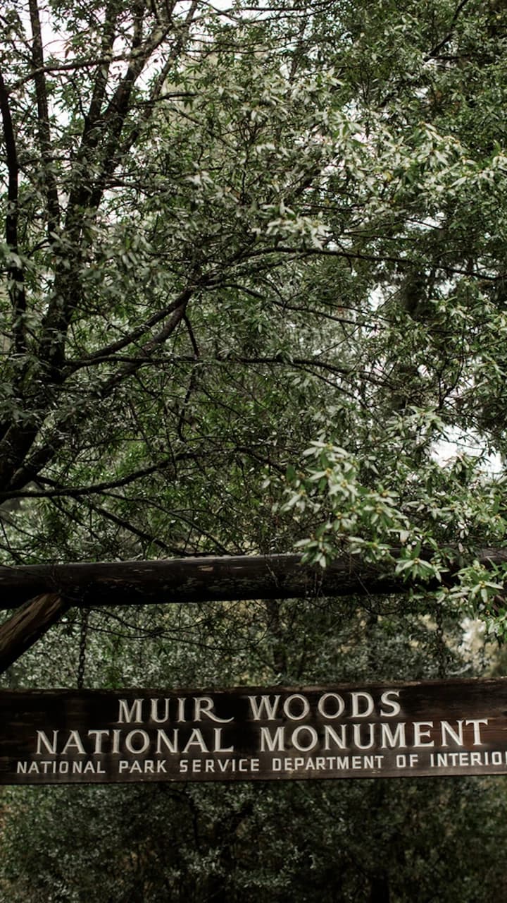 Muir Woods and Sausalito Tour from San Francisco - Photo 4