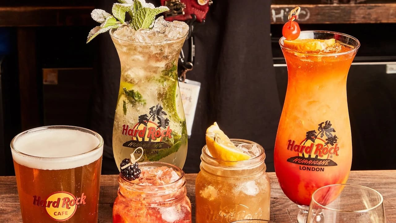 Hard Rock Cafe Yankee Stadium Dining Experience - image 8
