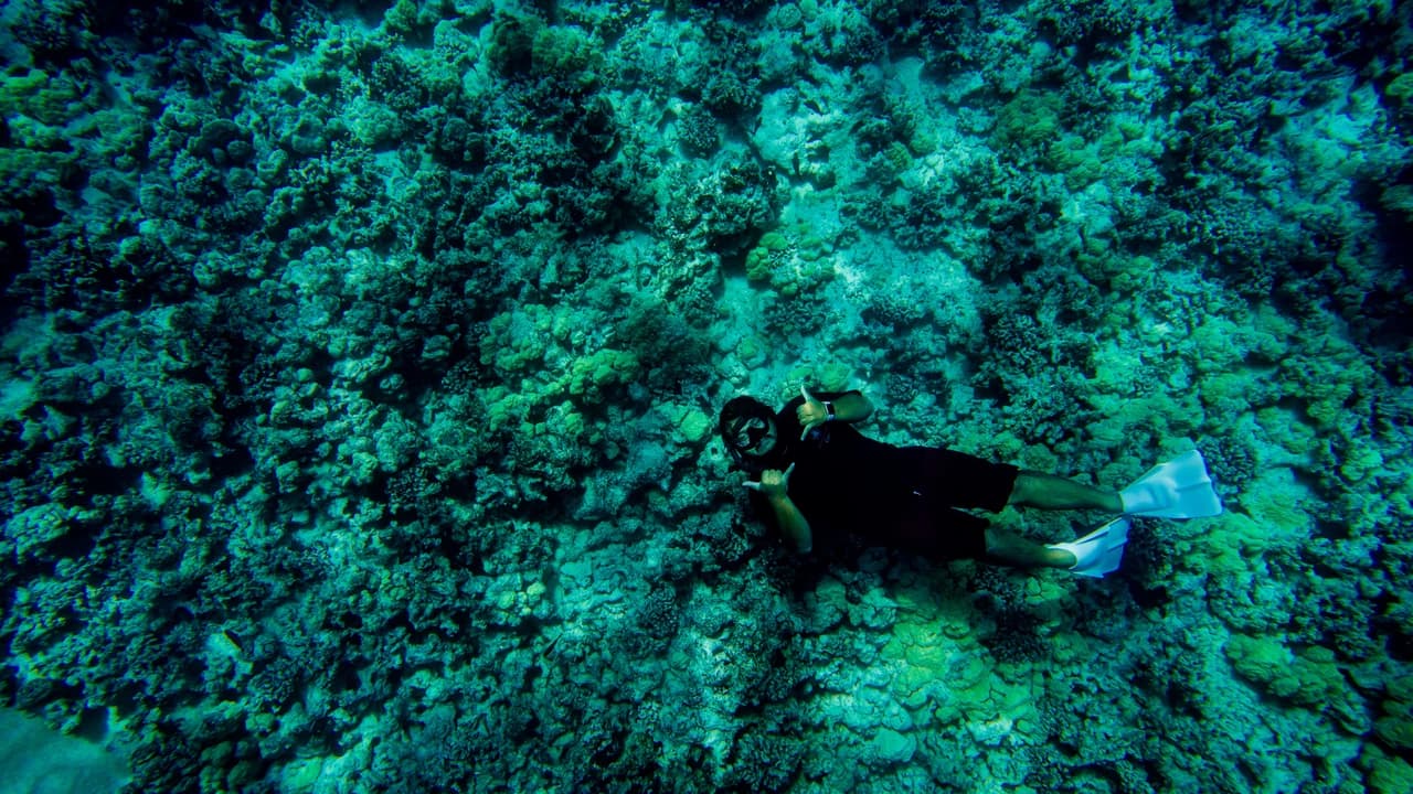 Kona Super-Raft Tours by Body Glove Cruises - Photo 1