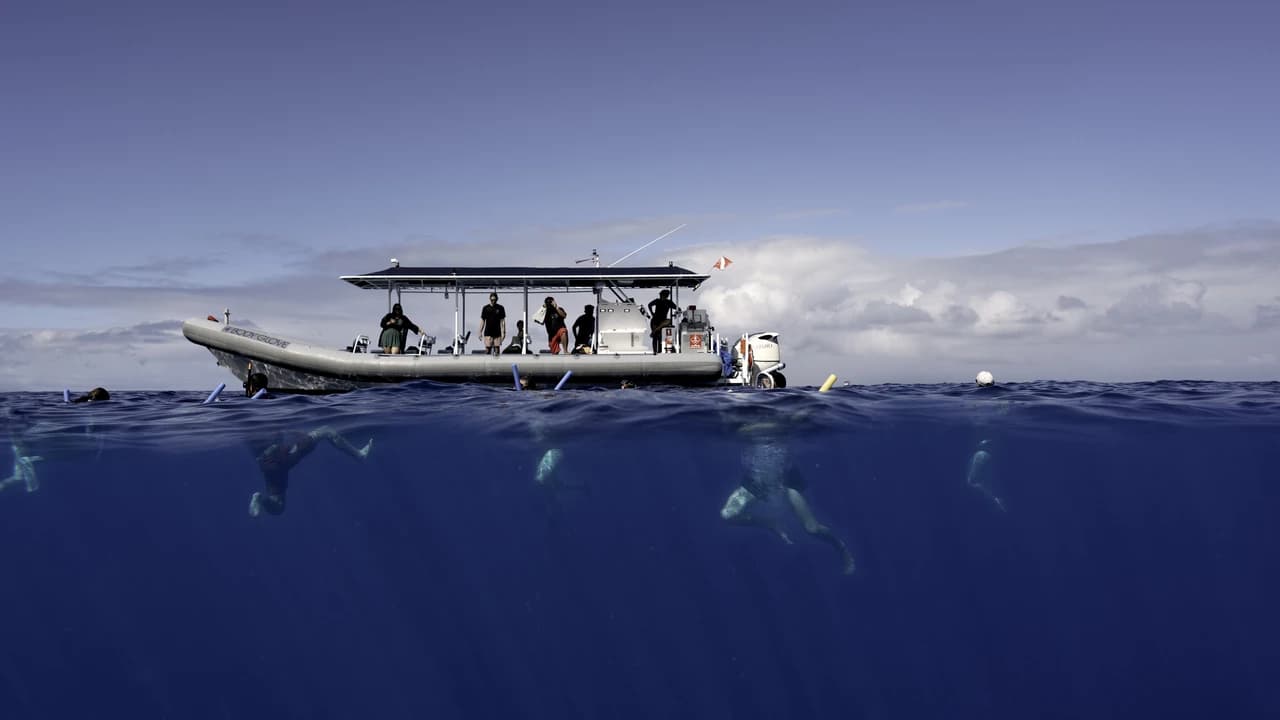 Kona Super-Raft Tours by Body Glove Cruises - Photo 2