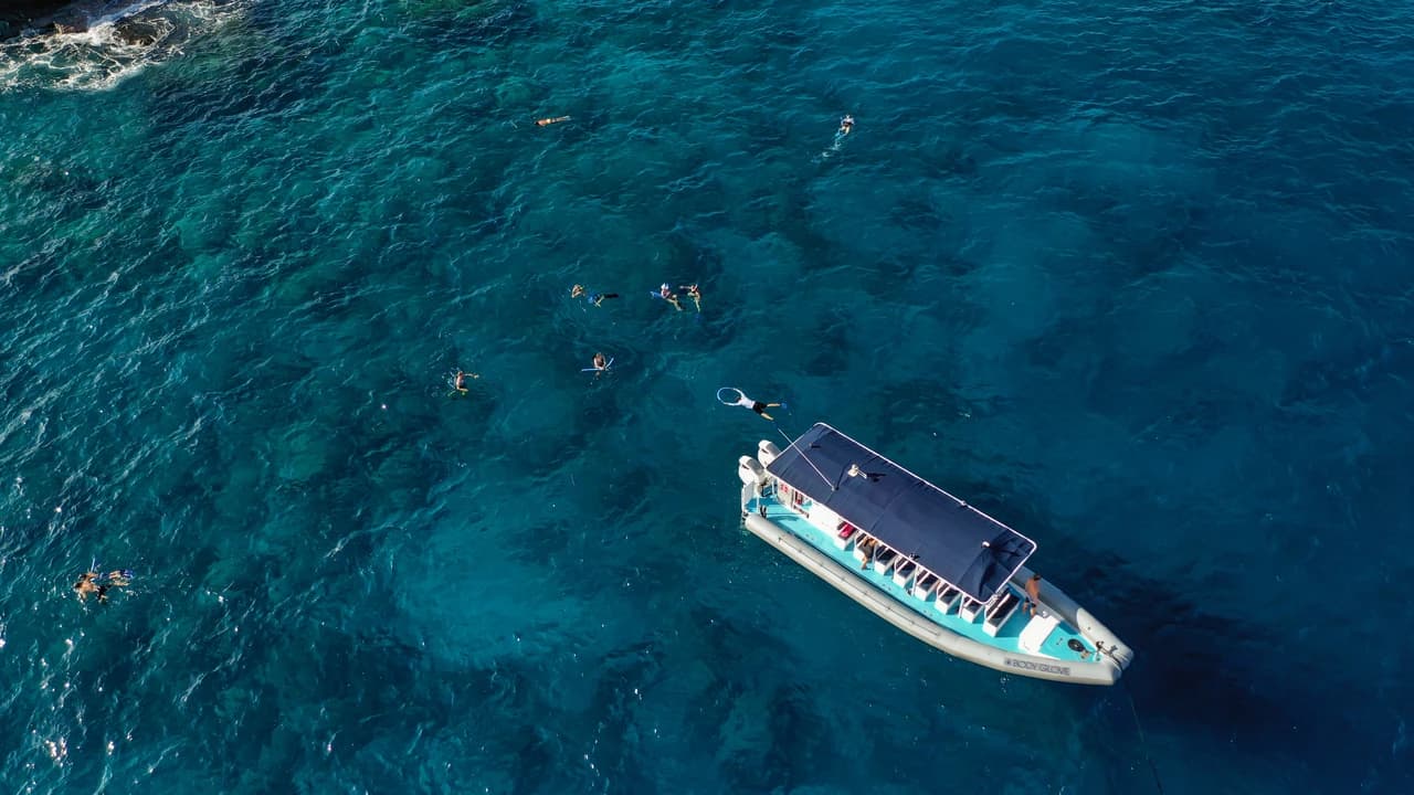 Kona Super-Raft Tours by Body Glove Cruises - Photo 3