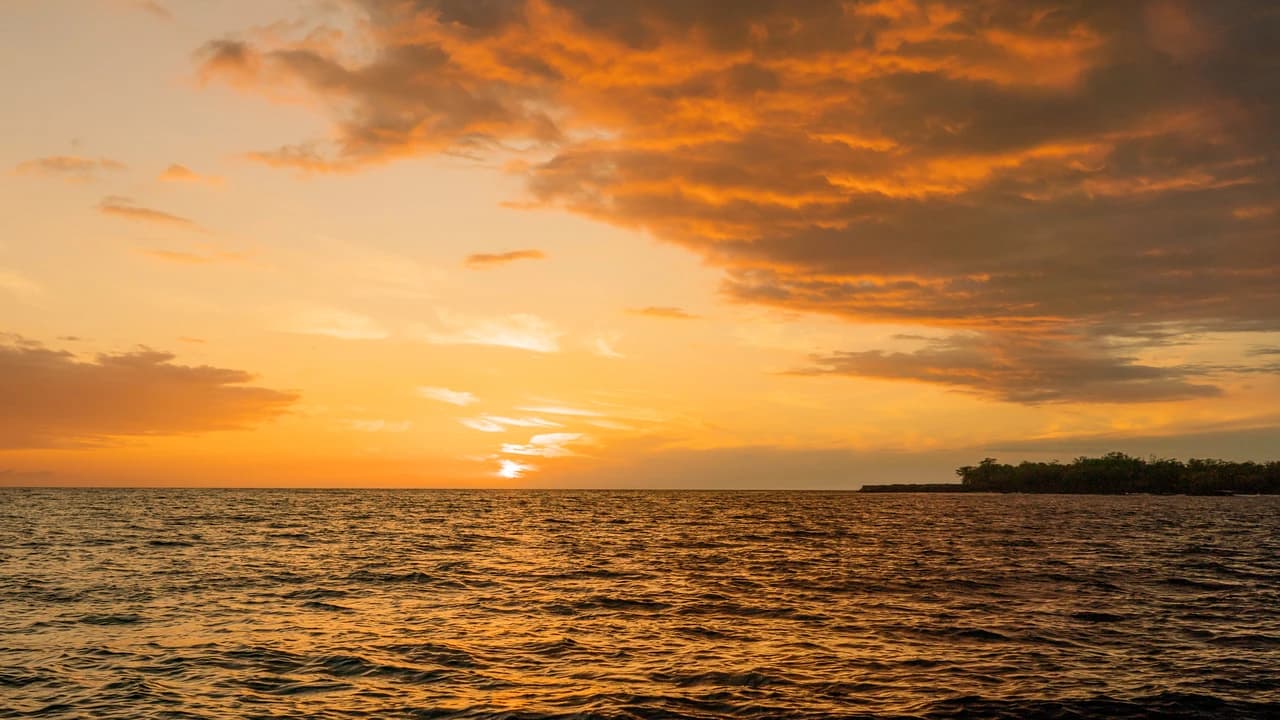 Kona Super-Raft Tours by Body Glove Cruises - image 8