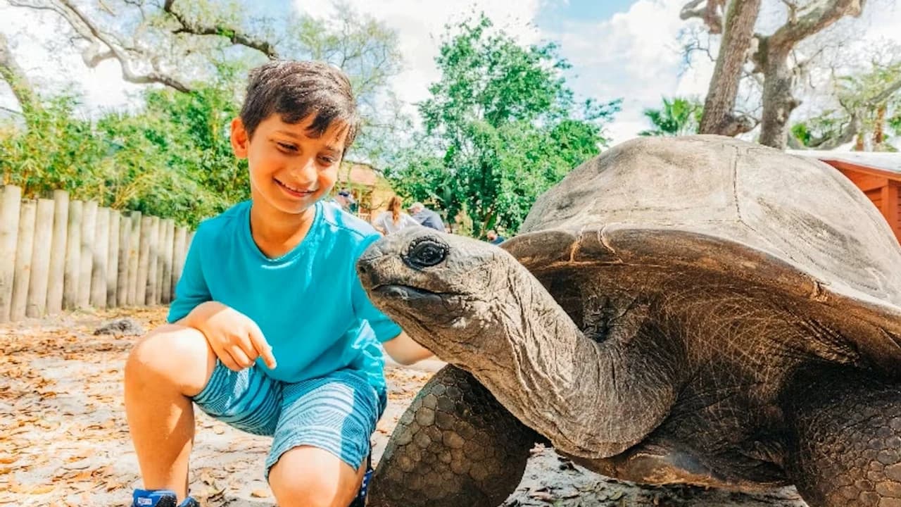 ZooTampa at Lowry Park Ticket - Photo 1