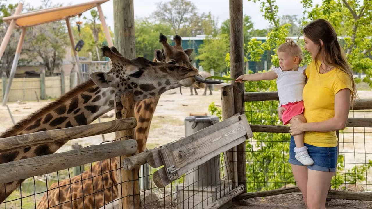 ZooTampa at Lowry Park Ticket - Photo 2