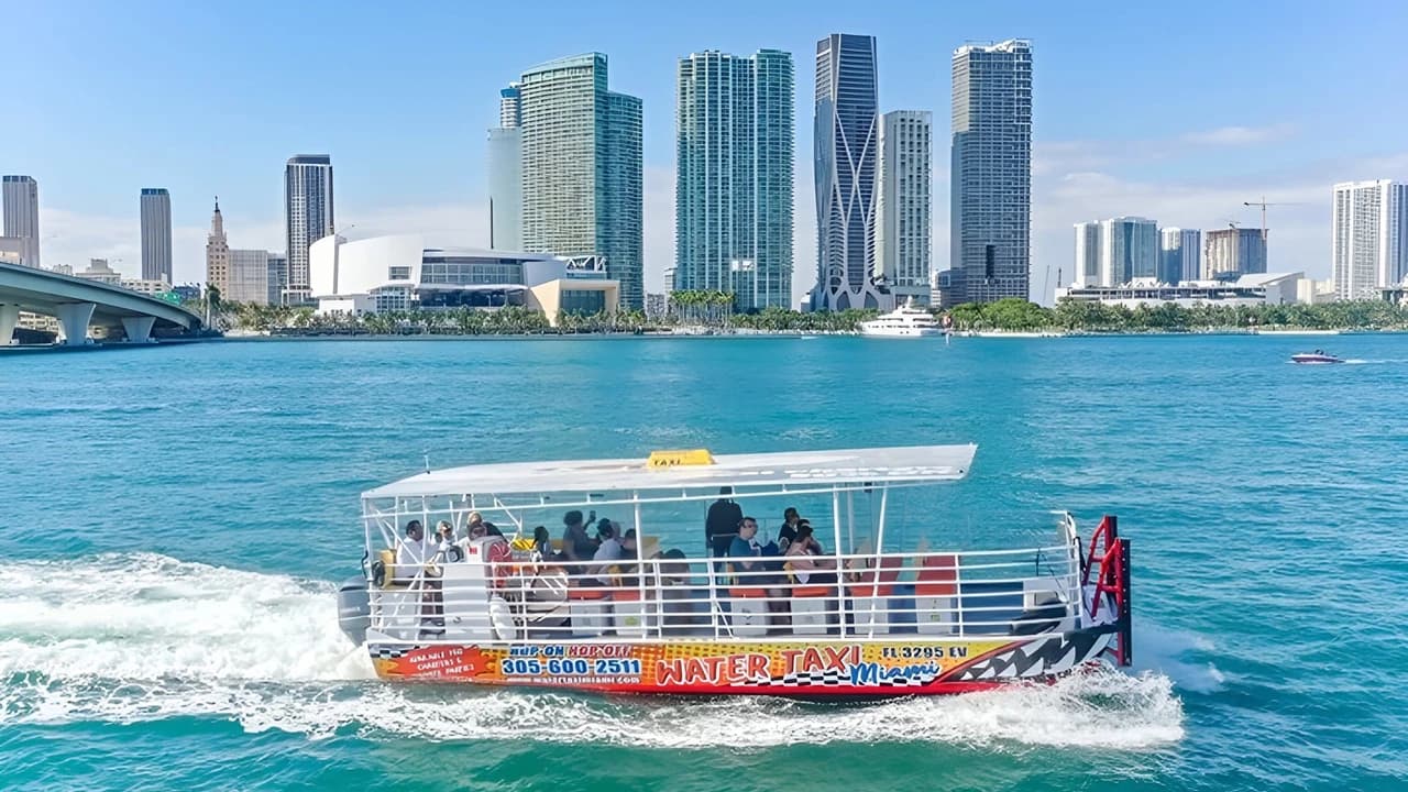 Miami Full-Day Combo: 75 min cruise + Everglades Airboat Tour + Double Decker Bus - Photo 2