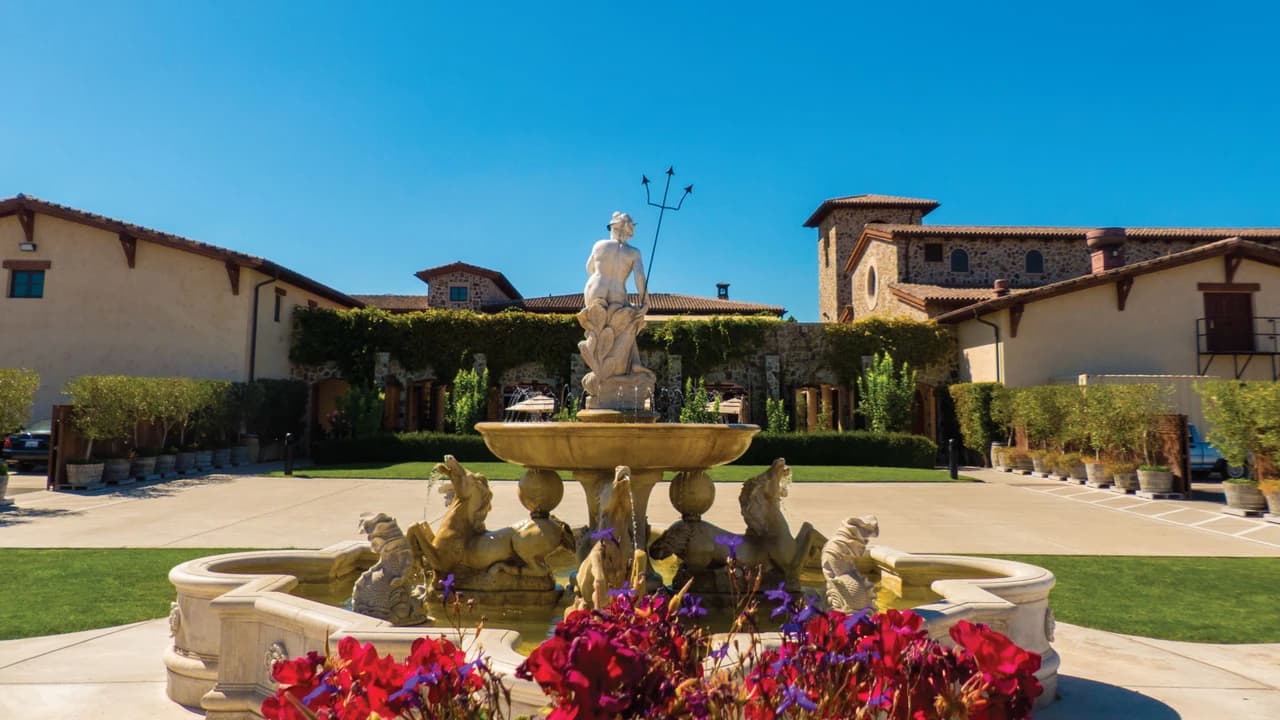 San Francisco Half-Day Wine Country Tour - Photo 2