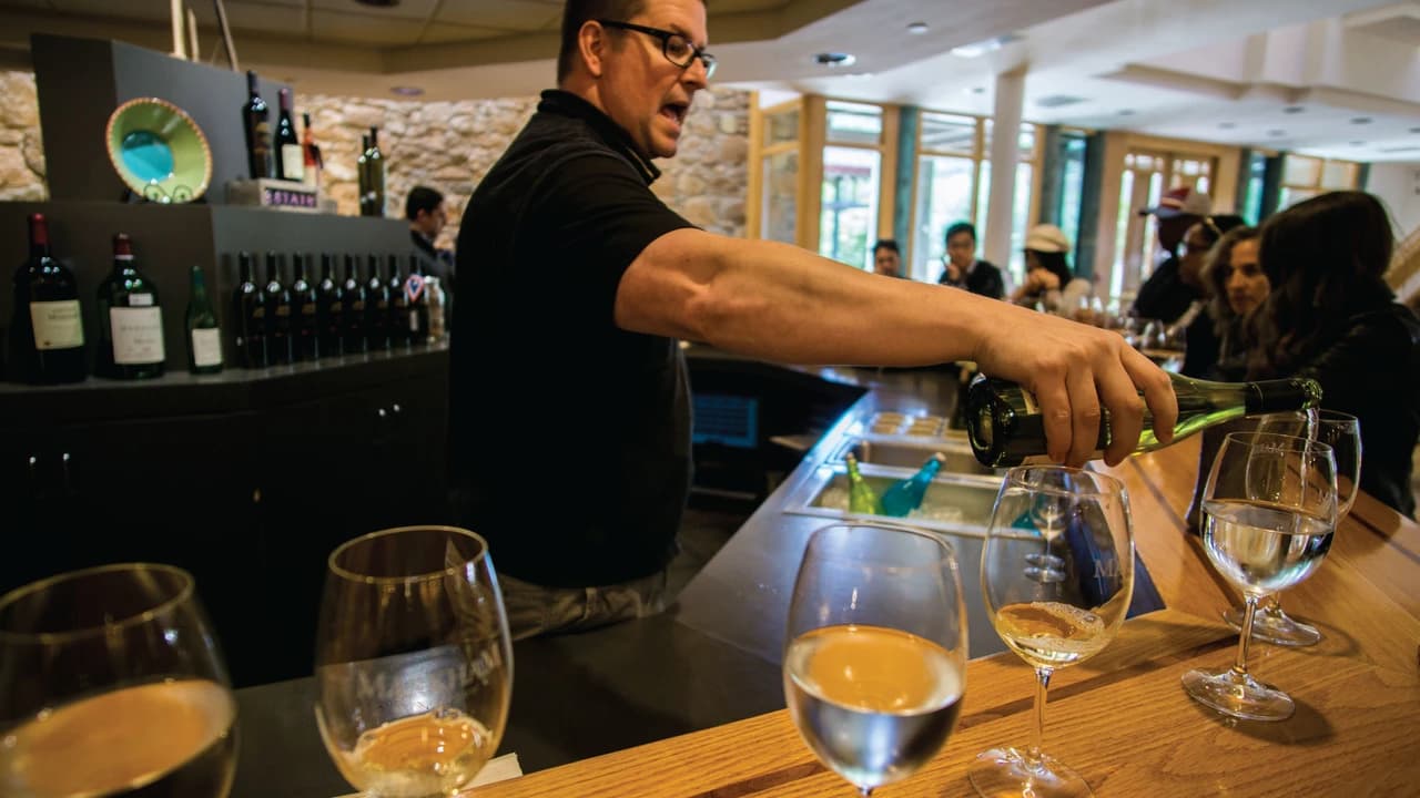 San Francisco Half-Day Wine Country Tour - image 8