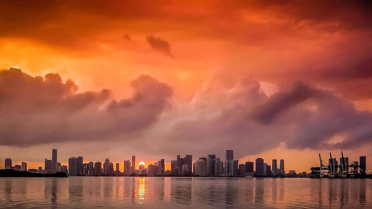 Miami Sunset Cruise of Biscayne Bay and Millionaires' Homes - image 6