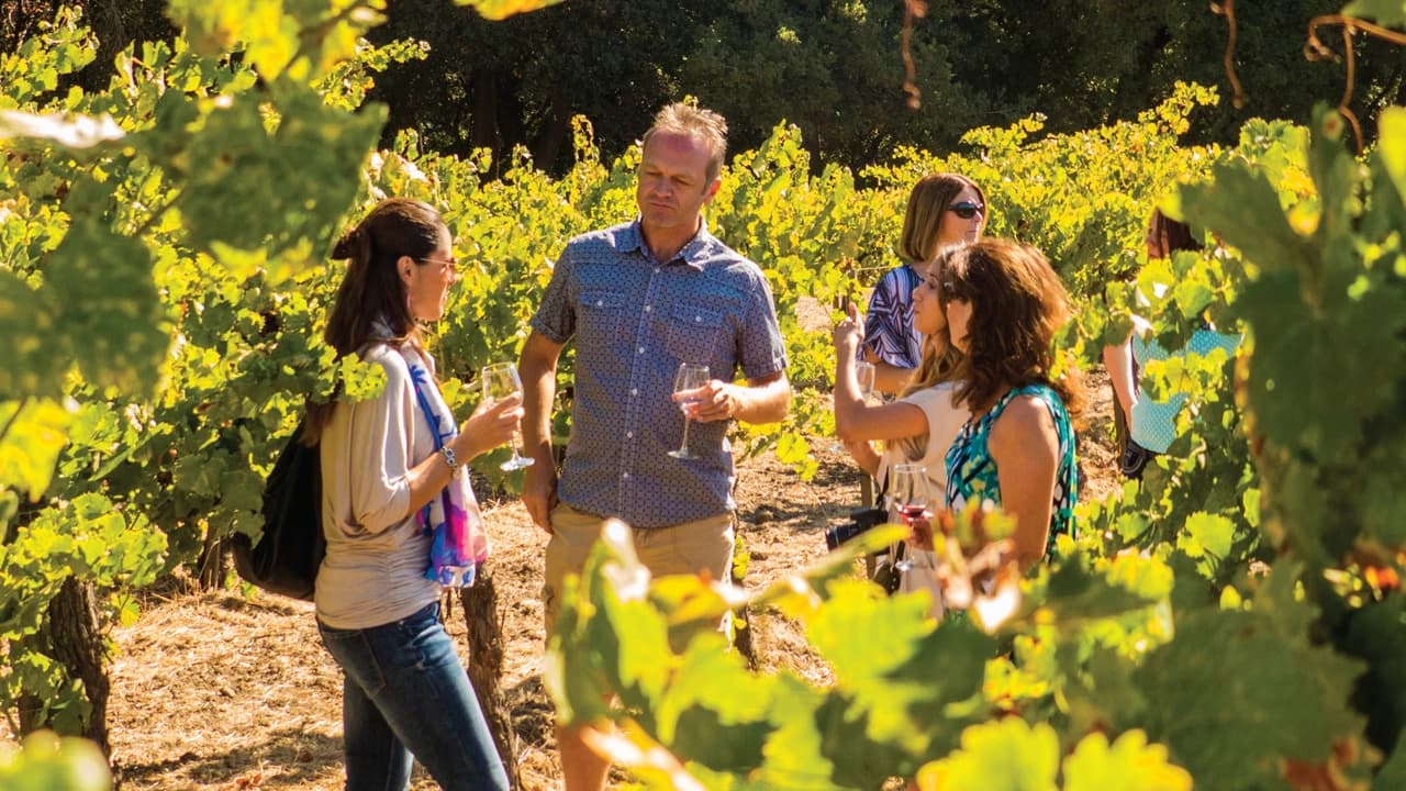 San Francisco Full-Day Wine Country Tour - Photo 2