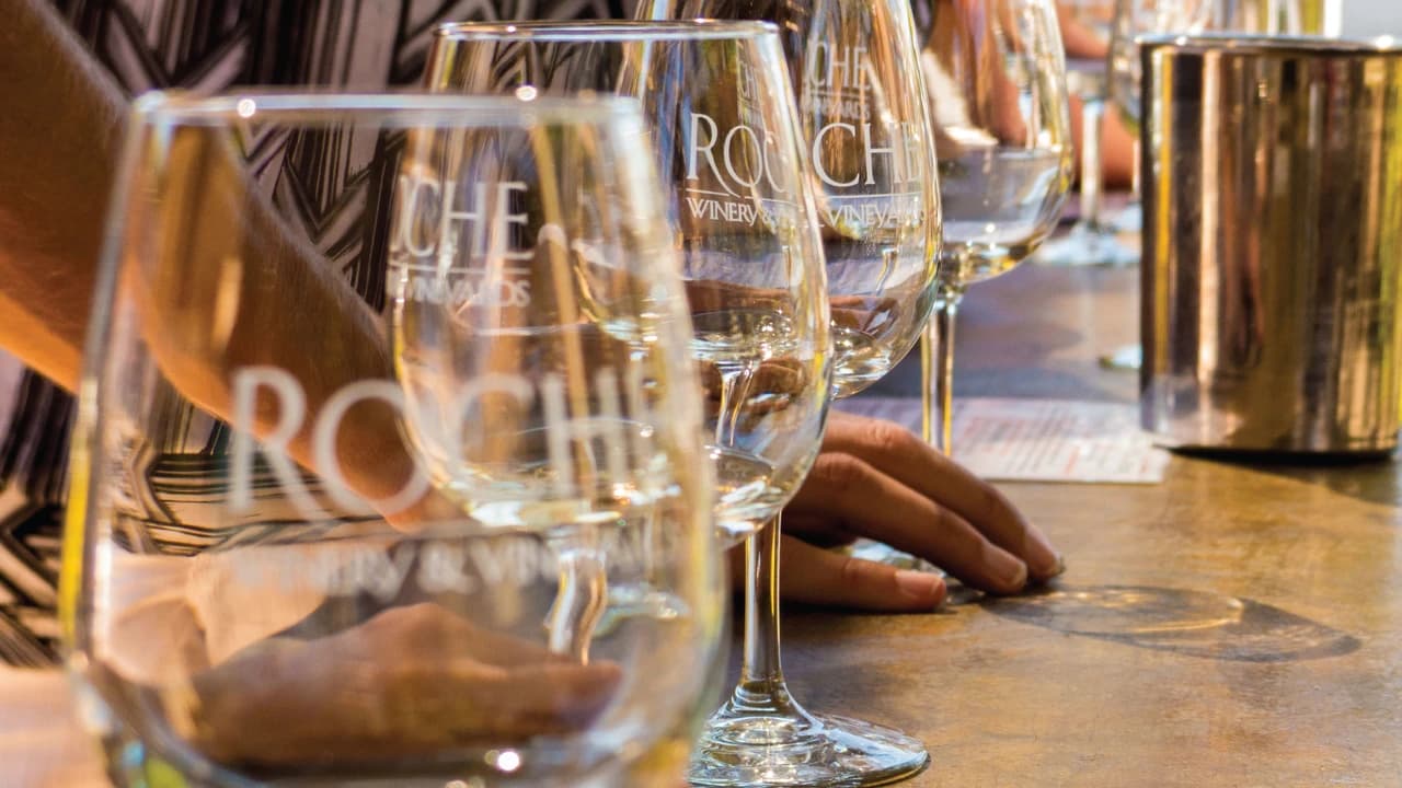 San Francisco Full-Day Wine Country Tour - image 8
