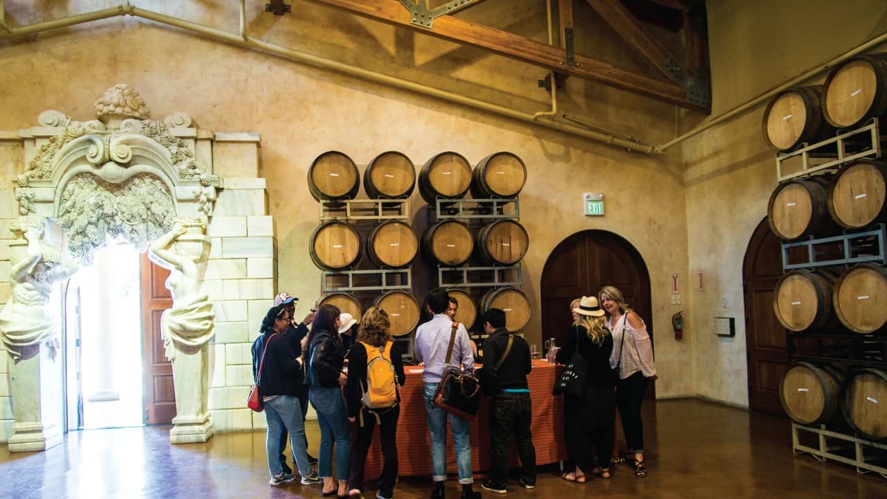 San Francisco Woods & Wine Country Full-Day Tour - image 8