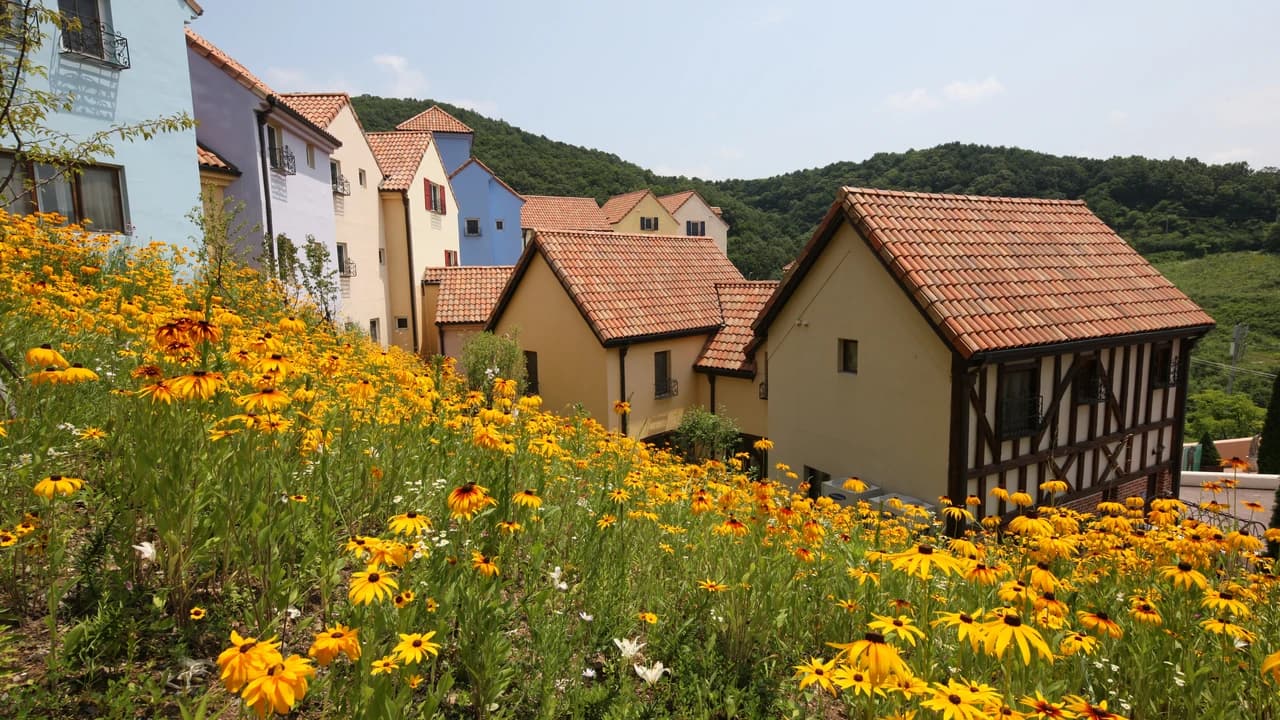 Nami Island, Petite France, Garden of Morning Calm, and Gangchon Rail Bike Tour from Seoul - Photo 1
