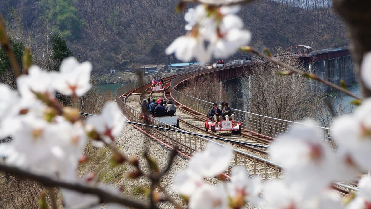 Nami Island, Petite France, Italian Village, and Gangchon Rail Bike Tour from Seoul - Photo 1