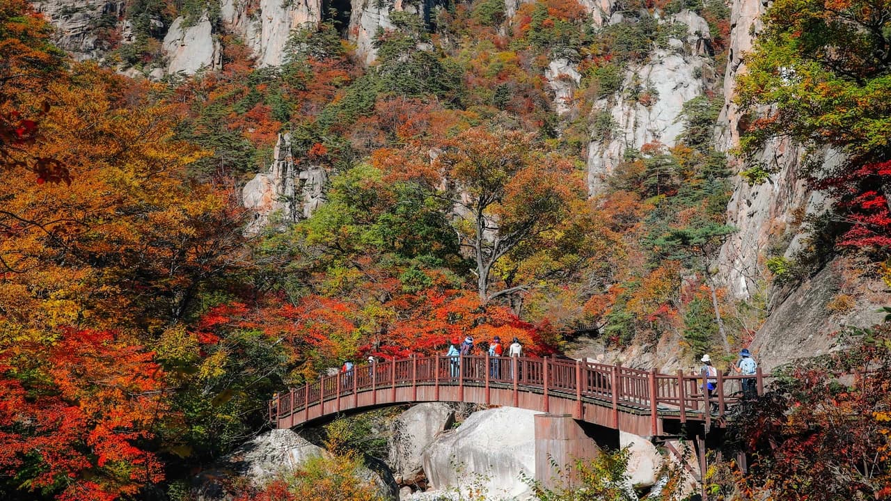 Nami Island and Mount Seorak Full-Day Tour from Seoul - Photo 1