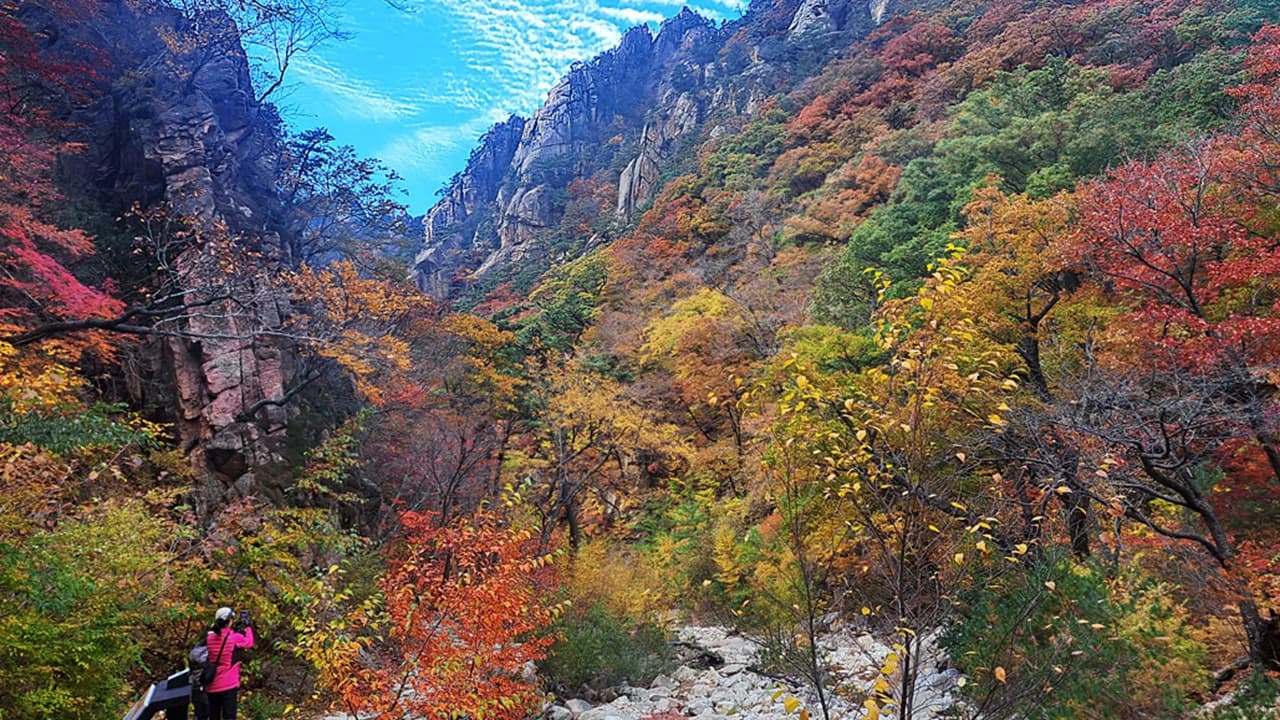 Nami Island and Mount Seorak Full-Day Tour from Seoul - Photo 2