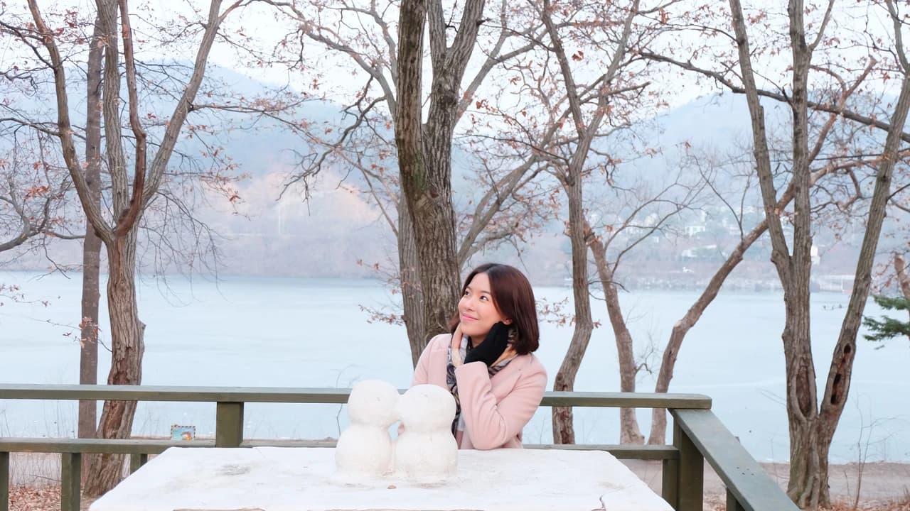 Nami Island, Petite France, Italian Village, and Garden of Morning Calm Tour from Seoul - image 8