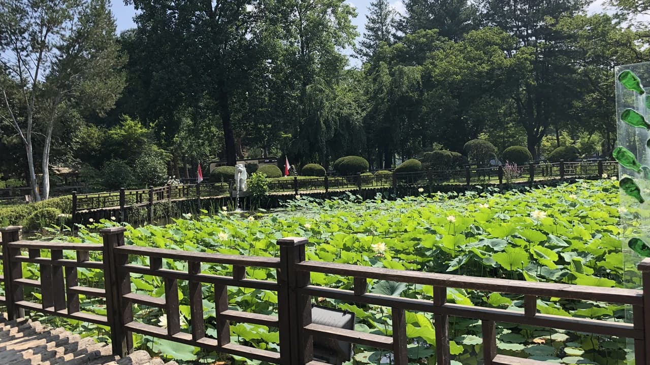 Nami Island and Mount Seorak Full-Day Tour from Seoul - image 7