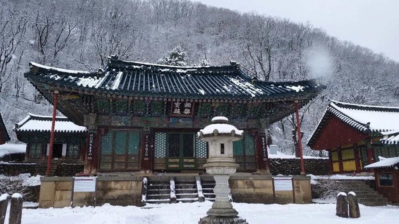 Nami Island and Mount Seorak Full-Day Tour from Seoul - image 8