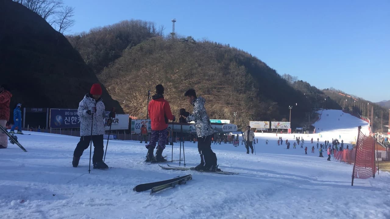 Elysian Gangchon Ski Resort and Eobi Ice Valley Full-Day Tour from Seoul - image 8