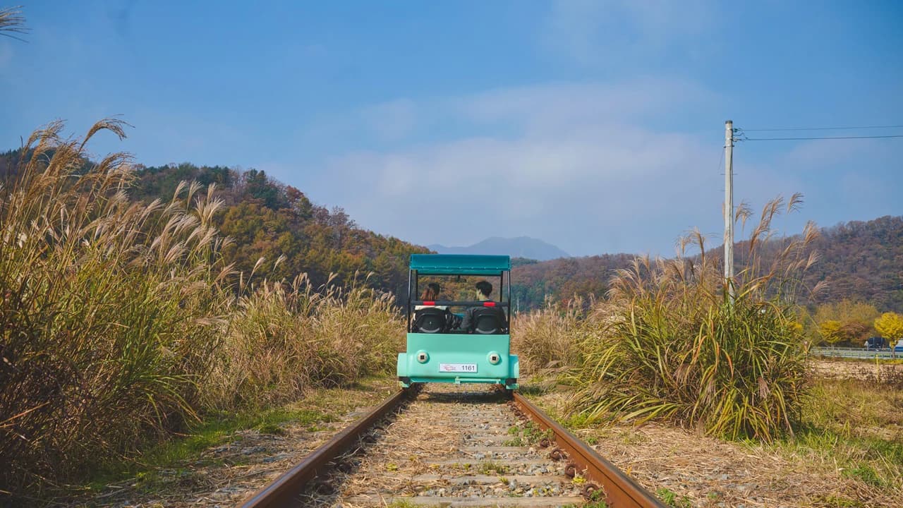Nami Island, Mount Seorak, and Gapyeong Rail Bike Full-Day Tour from Seoul - Photo 2