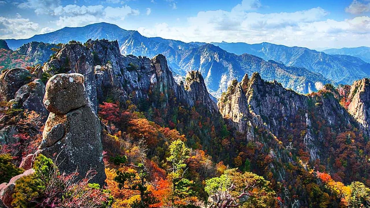 Nami Island, Mount Seorak, and Gapyeong Rail Bike Full-Day Tour from Seoul - image 7