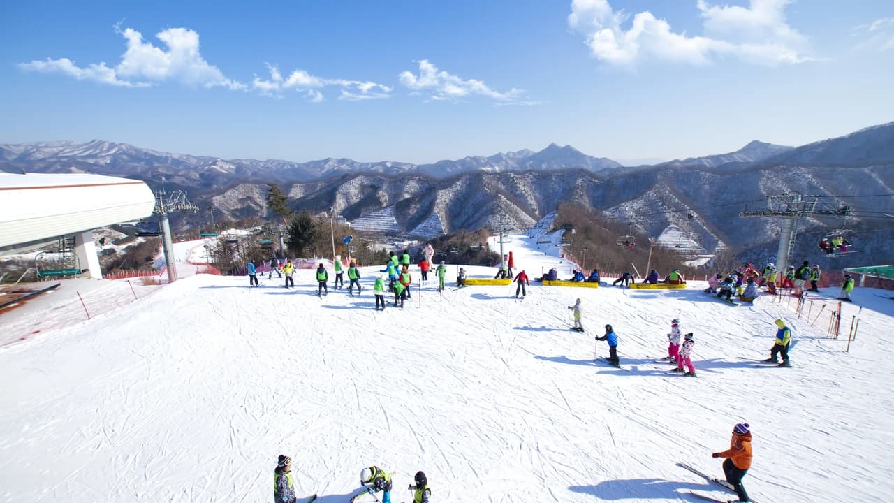 Elysian Gangchon Ski Resort and Nami Island Full-Day Tour from Seoul - Photo 2