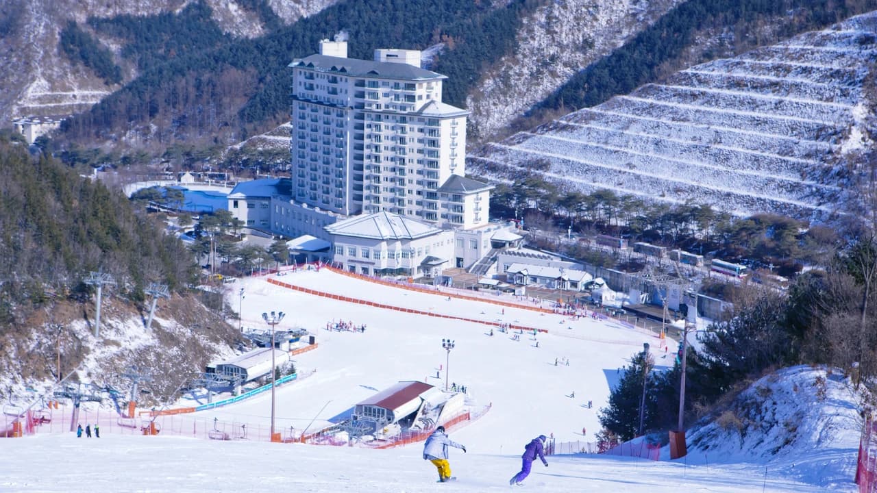 Elysian Gangchon Ski Resort and Nami Island Full-Day Tour from Seoul - Photo 4
