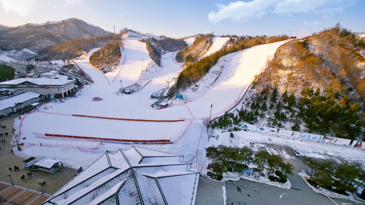 Elysian Gangchon Ski Resort and Nami Island Full-Day Tour from Seoul - image 7