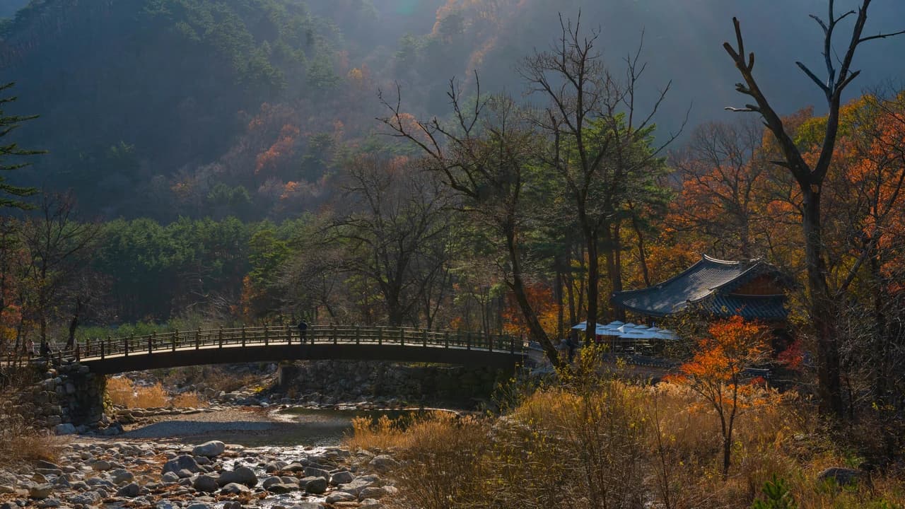 Mount Seorak and Naksansa Temple Tour from Seoul - Photo 1