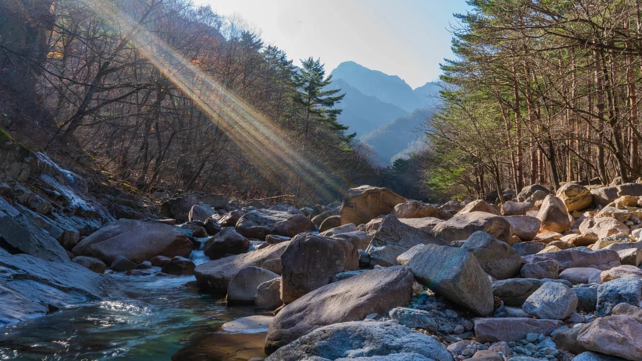 Mount Seorak and Naksansa Temple Tour from Seoul - Photo 2