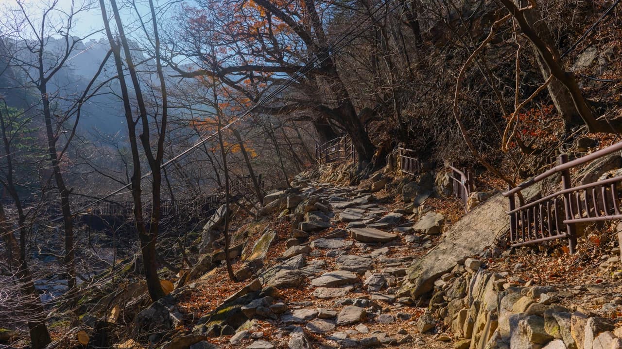 Mount Seorak and Naksansa Temple Tour from Seoul - Photo 3