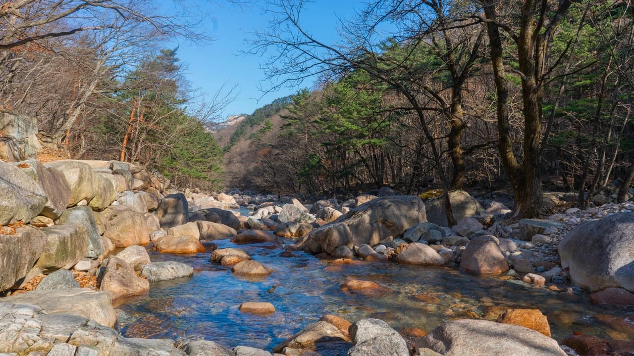 Mount Seorak and Naksansa Temple Tour from Seoul - Photo 4