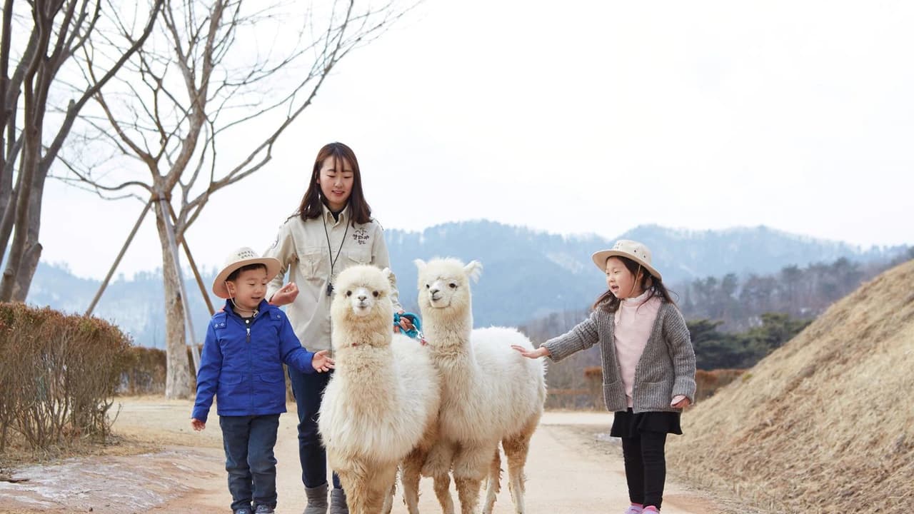Alpaca World, Nami Island, and Garden of Morning Calm Tour from Seoul - Photo 1