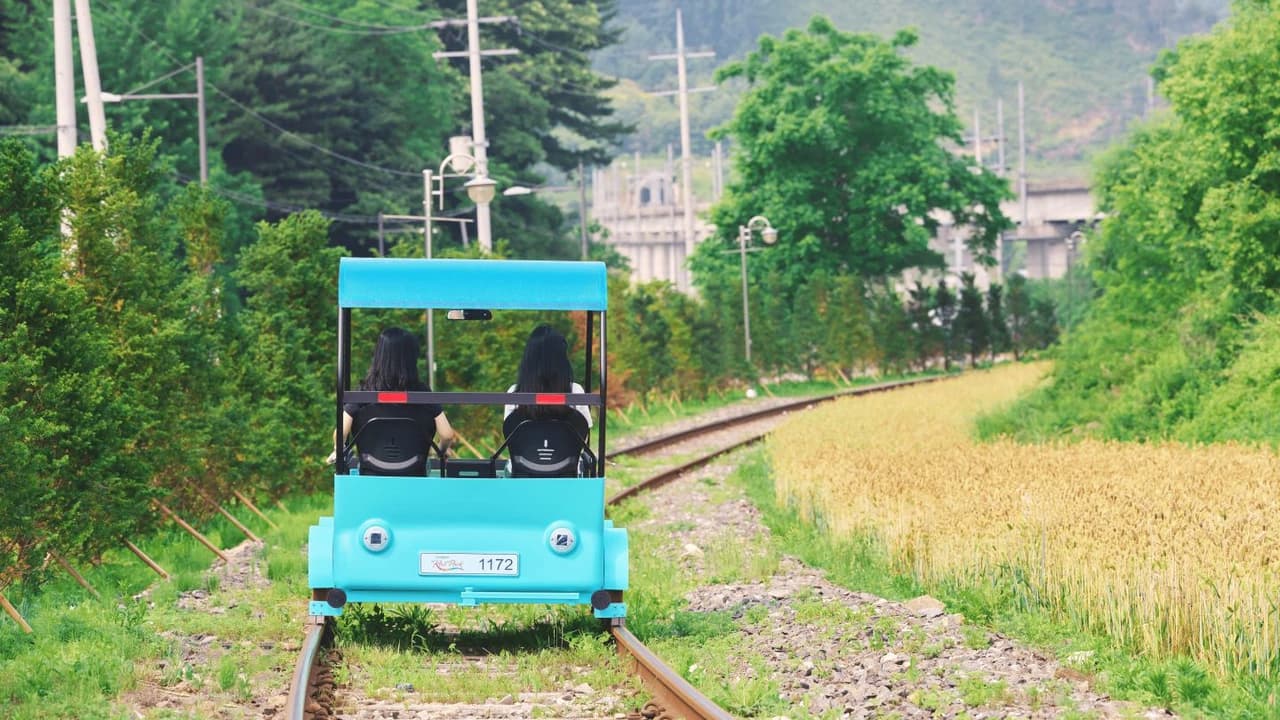 Alpaca World, Nami Island, and Garden of Morning Calm Tour from Seoul - Photo 4