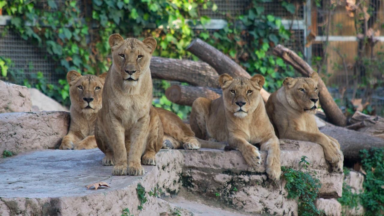 Barcelona Zoo - Photo 1