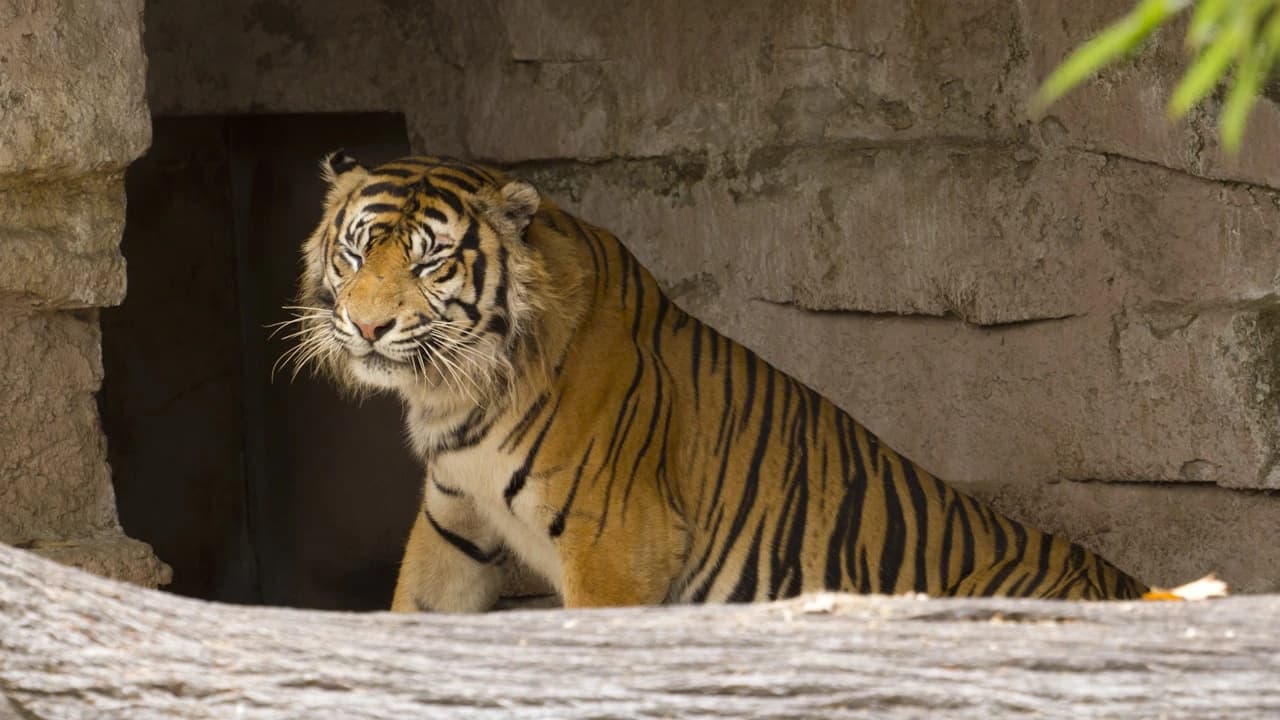 Barcelona Zoo - Photo 4