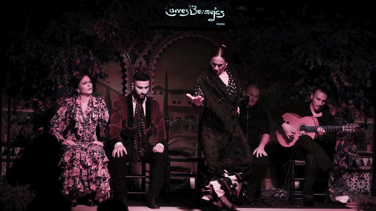 Flamenco Show at Tablao Torres Bermejas - Photo 3