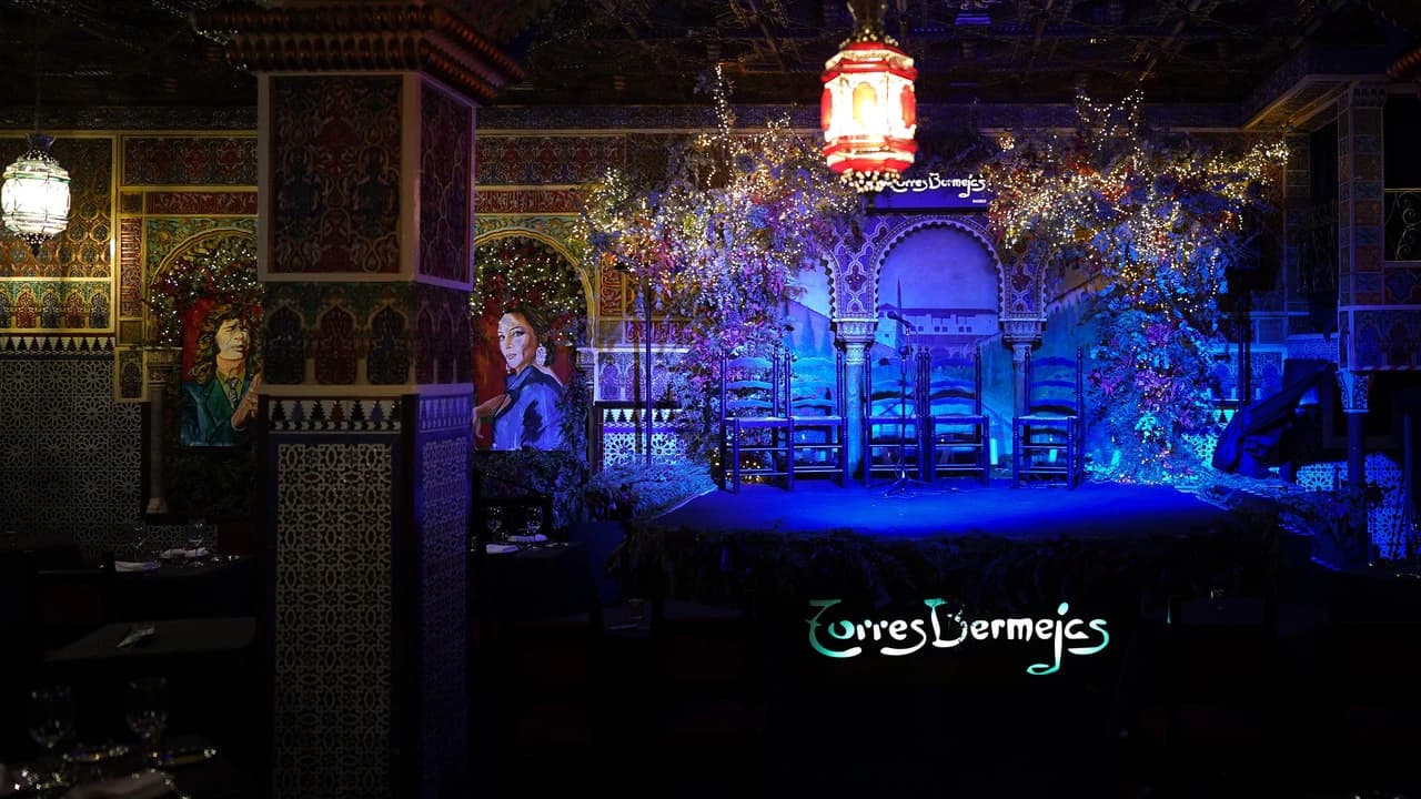 Flamenco Show at Tablao Torres Bermejas - image 8