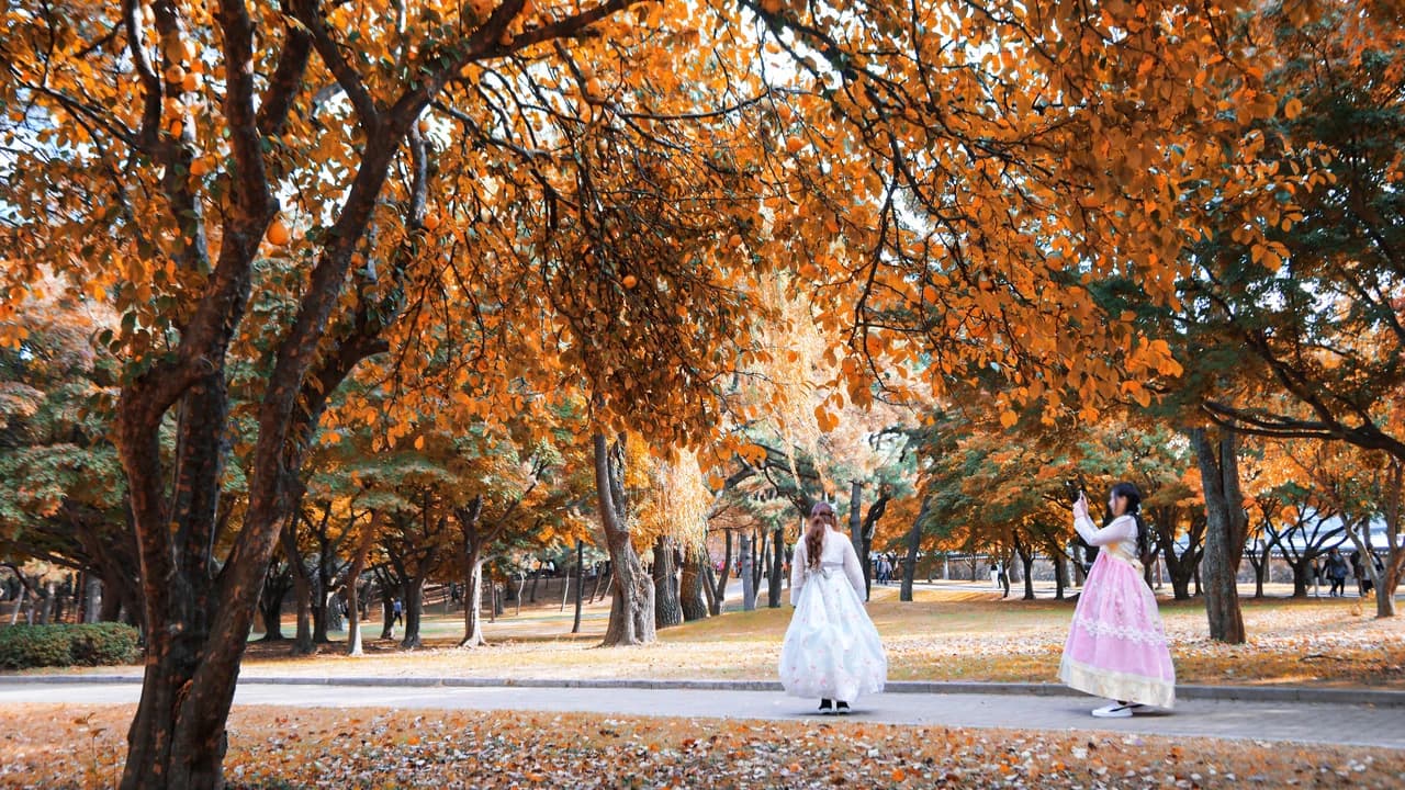 Gyeongju Autumn Foliage One Day Tour from Busan - Photo 1