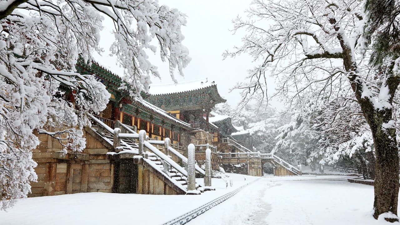 Gyeongju Kookmin Healing Park, Bulguksa, Woljeong Bridge, Gyochon Village Full-Day Tour from Busan - Photo 2