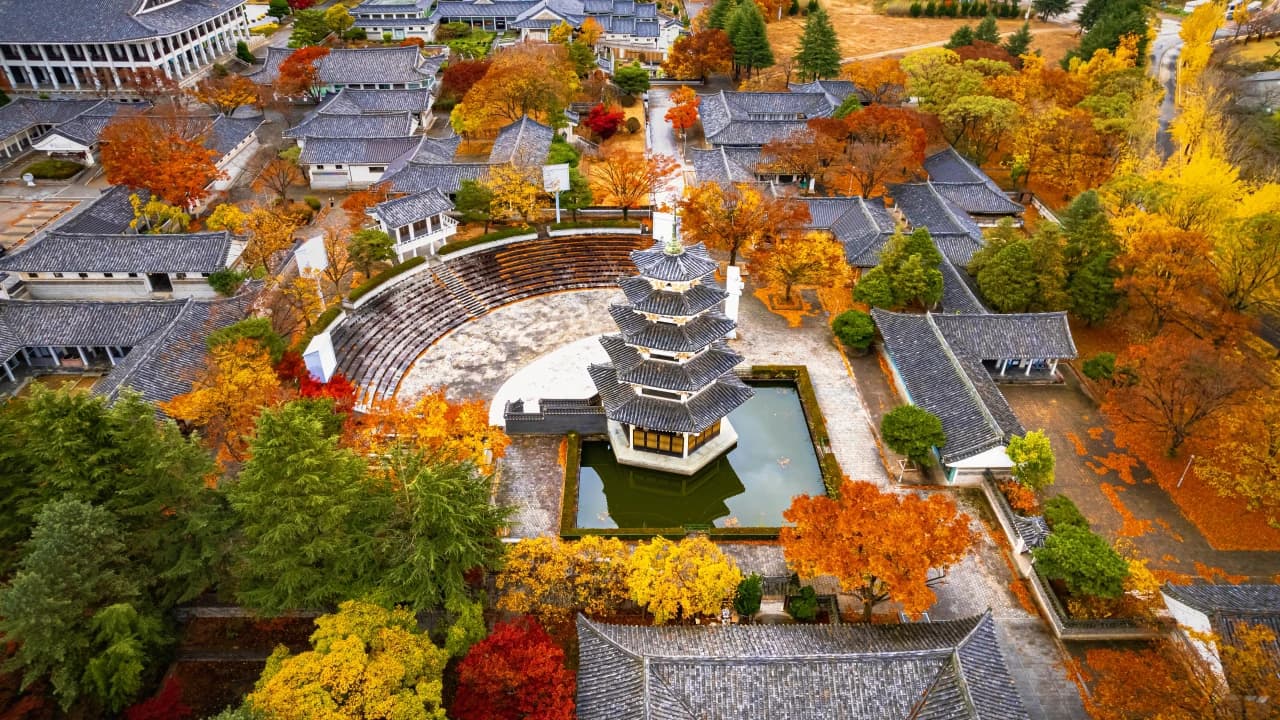 Gyeongju Autumn Foliage One Day Tour from Busan - Photo 4