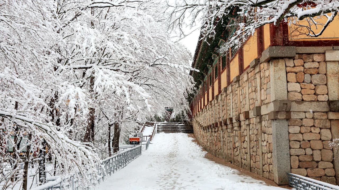 Gyeongju Kookmin Healing Park, Bulguksa, Woljeong Bridge, Gyochon Village Full-Day Tour from Busan - Photo 4