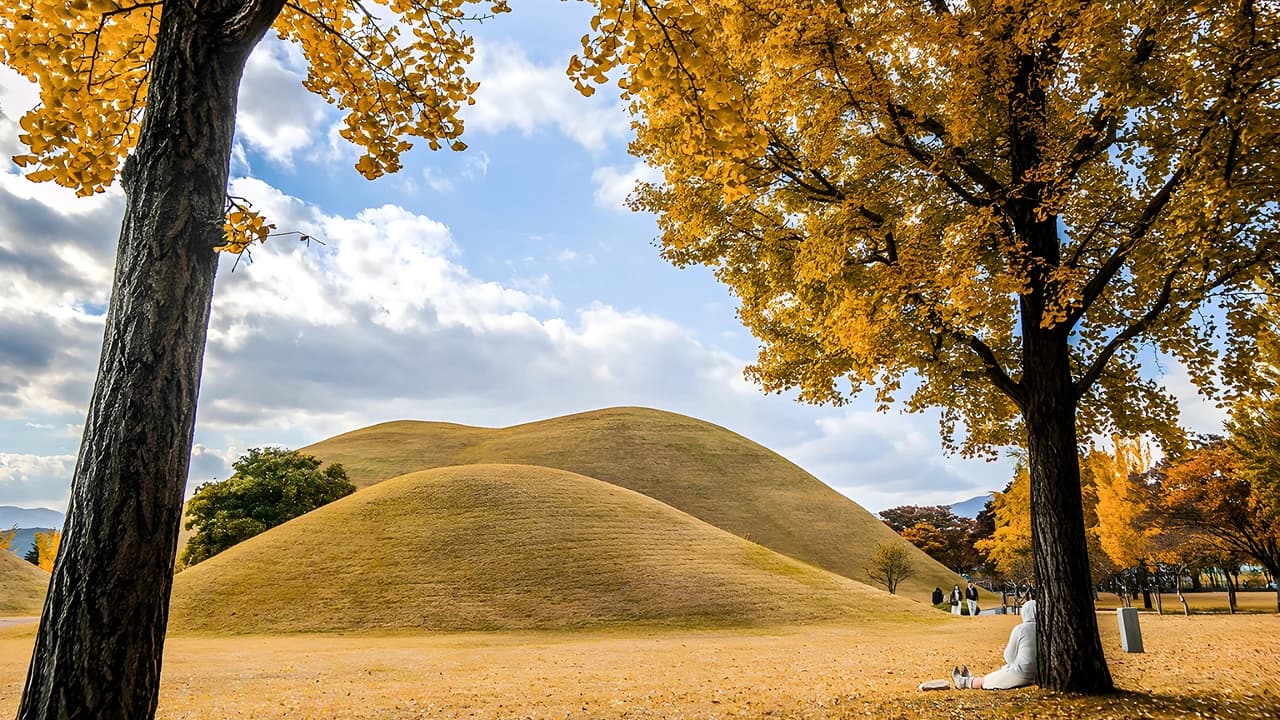 Gyeongju Autumn Foliage One Day Tour from Busan - Photo 5