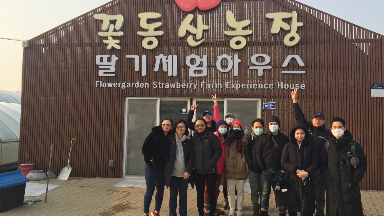 Strawberry Picking, Vivaldi Park, and Eobi Ice Valley Full-Day Tour from Seoul - Photo 5